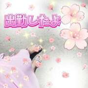 ヒメ日記 2025/09/02 09:45 投稿 かなこ 熟女の風俗最終章 西川口店