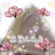 ヒメ日記 2025/09/07 14:22 投稿 かなこ 熟女の風俗最終章 西川口店