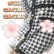 ヒメ日記 2025/09/12 11:52 投稿 かなこ 熟女の風俗最終章 西川口店