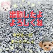 ヒメ日記 2025/09/17 18:25 投稿 かなこ 熟女の風俗最終章 西川口店