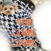 ヒメ日記 2025/09/29 11:52 投稿 かなこ 熟女の風俗最終章 西川口店