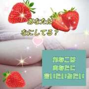 ヒメ日記 2025/09/30 14:42 投稿 かなこ 熟女の風俗最終章 西川口店