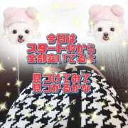 ヒメ日記 2025/10/05 19:22 投稿 かなこ 熟女の風俗最終章 西川口店