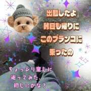 ヒメ日記 2025/10/10 19:34 投稿 かなこ 熟女の風俗最終章 西川口店