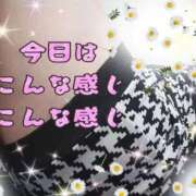 ヒメ日記 2025/10/10 23:12 投稿 かなこ 熟女の風俗最終章 西川口店