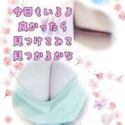 ヒメ日記 2025/10/30 17:11 投稿 かなこ 熟女の風俗最終章 西川口店