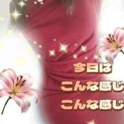 ヒメ日記 2025/11/04 12:31 投稿 かなこ 熟女の風俗最終章 西川口店