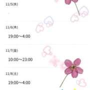 ヒメ日記 2025/11/05 04:02 投稿 かなこ 熟女の風俗最終章 西川口店