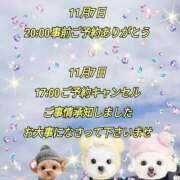 ヒメ日記 2025/11/06 16:02 投稿 かなこ 熟女の風俗最終章 西川口店