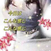 ヒメ日記 2025/11/07 09:02 投稿 かなこ 熟女の風俗最終章 西川口店