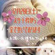 ヒメ日記 2025/12/20 12:30 投稿 かなこ 熟女の風俗最終章 西川口店