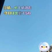 ヒメ日記 2026/02/21 07:32 投稿 かなこ 熟女の風俗最終章 西川口店