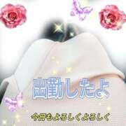 ヒメ日記 2026/03/08 10:15 投稿 かなこ 熟女の風俗最終章 西川口店