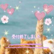 ヒメ日記 2026/03/09 17:50 投稿 かなこ 熟女の風俗最終章 西川口店