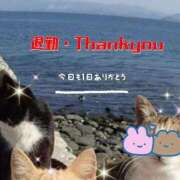 ヒメ日記 2026/03/11 00:04 投稿 かなこ 熟女の風俗最終章 西川口店