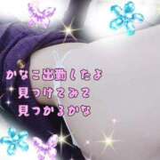 ヒメ日記 2026/03/23 18:55 投稿 かなこ 熟女の風俗最終章 西川口店