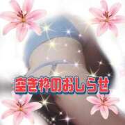 ヒメ日記 2026/03/30 12:31 投稿 かなこ 熟女の風俗最終章 西川口店