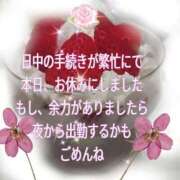 ヒメ日記 2026/03/31 16:18 投稿 かなこ 熟女の風俗最終章 西川口店