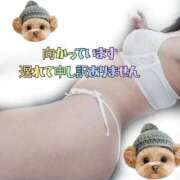 ヒメ日記 2026/04/01 20:30 投稿 かなこ 熟女の風俗最終章 西川口店