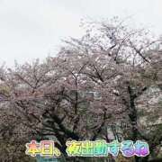 ヒメ日記 2026/04/07 12:51 投稿 かなこ 熟女の風俗最終章 西川口店