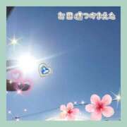 ヒメ日記 2026/04/08 08:00 投稿 かなこ 熟女の風俗最終章 西川口店