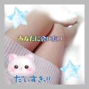 ヒメ日記 2026/04/12 00:50 投稿 かなこ 熟女の風俗最終章 西川口店