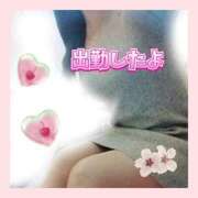 ヒメ日記 2026/04/12 09:50 投稿 かなこ 熟女の風俗最終章 西川口店