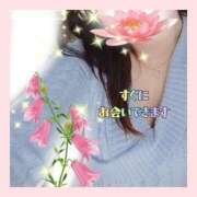 ヒメ日記 2026/04/12 15:50 投稿 かなこ 熟女の風俗最終章 西川口店