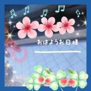 ヒメ日記 2026/04/17 10:31 投稿 かなこ 熟女の風俗最終章 西川口店