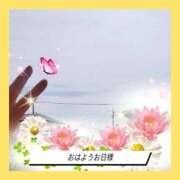 ヒメ日記 2026/04/18 11:16 投稿 かなこ 熟女の風俗最終章 西川口店