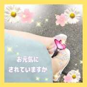 ヒメ日記 2026/04/18 11:58 投稿 かなこ 熟女の風俗最終章 西川口店