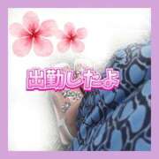 ヒメ日記 2026/04/19 09:40 投稿 かなこ 熟女の風俗最終章 西川口店