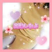 ヒメ日記 2026/04/28 10:00 投稿 かなこ 熟女の風俗最終章 西川口店