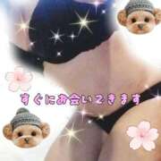 ヒメ日記 2026/04/28 20:40 投稿 かなこ 熟女の風俗最終章 西川口店