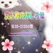 ヒメ日記 2026/05/11 16:01 投稿 かなこ 熟女の風俗最終章 西川口店