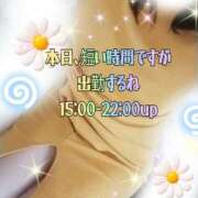 ヒメ日記 2026/06/23 14:34 投稿 かなこ 熟女の風俗最終章 西川口店