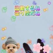 ヒメ日記 2026/06/29 08:00 投稿 かなこ 熟女の風俗最終章 西川口店