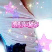 ヒメ日記 2026/08/22 12:00 投稿 かなこ 熟女の風俗最終章 西川口店