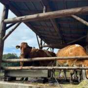 ヒメ日記 2025/10/08 08:02 投稿 みと 熟女の風俗最終章 西川口店