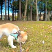 ヒメ日記 2025/12/01 22:12 投稿 みと 熟女の風俗最終章 西川口店