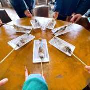 ヒメ日記 2025/12/02 09:22 投稿 みと 熟女の風俗最終章 西川口店