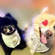 ヒメ日記 2026/01/13 12:03 投稿 みと 熟女の風俗最終章 西川口店