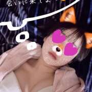 ヒメ日記 2025/06/08 00:46 投稿 のぞみ 神田はっち