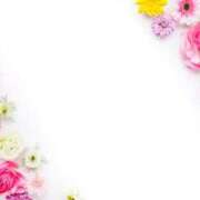 ヒメ日記 2025/09/29 10:18 投稿 ましろ 川崎・東横人妻城