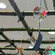 ヒメ日記 2025/06/26 18:32 投稿 なぎさ 奥鉄オクテツ東京店（デリヘル市場）