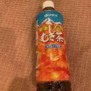 ヒメ日記 2025/12/15 11:55 投稿 せつな ぺろぺろベロベロ専科 ぺろんちょ