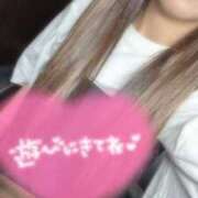 ヒメ日記 2025/07/14 09:22 投稿 天音(あまね) 可憐な妻たち 高崎店