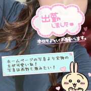 ヒメ日記 2025/09/04 18:01 投稿 あず 神田エマニエル