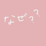 ヒメ日記 2025/07/28 12:21 投稿 りん LEVEL1