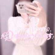 ヒメ日記 2025/05/31 13:24 投稿 タルト 桃李（とうり）